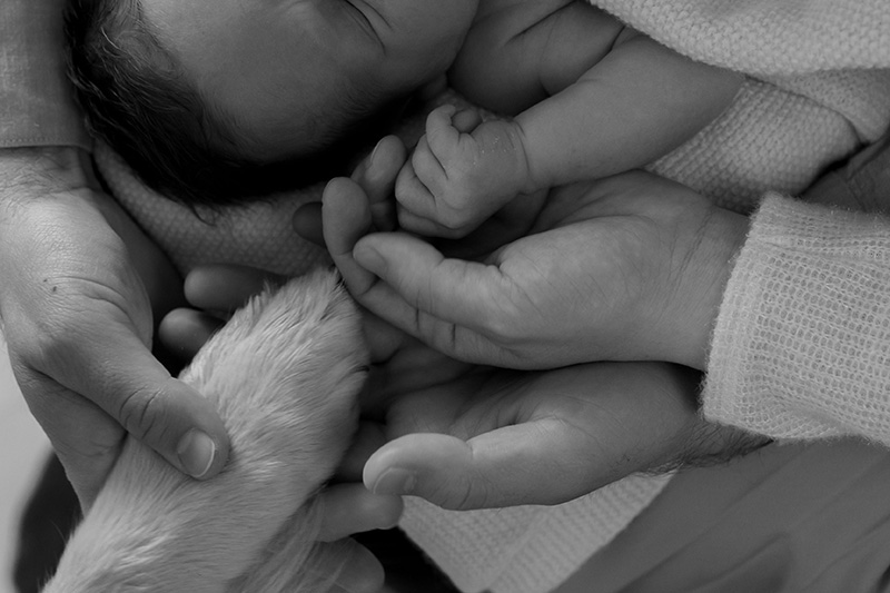 familienfotograf kassel und nordhessen 16